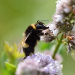 Den bedste arv er ikke penge