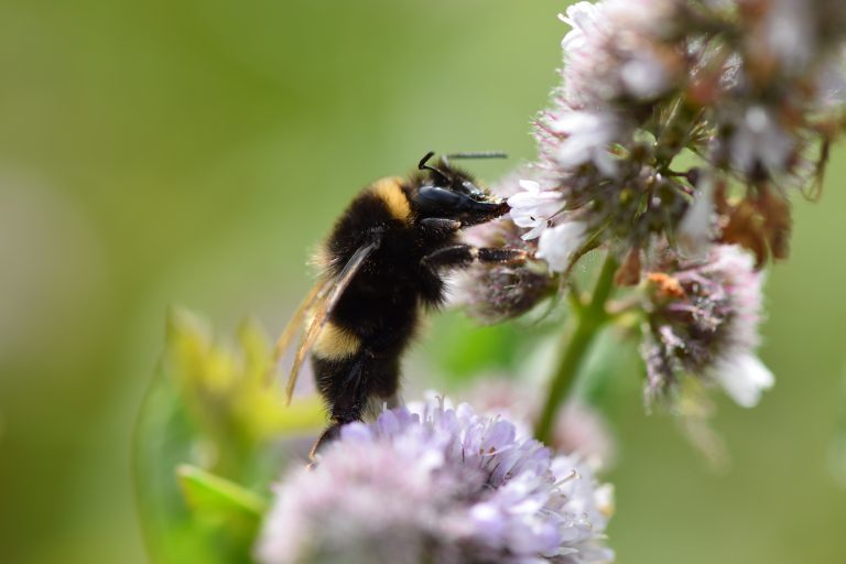 Den bedste arv er ikke penge