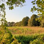 AI har erstattet… En meningsløs opgave, jeg tidligere nægtede at udføre?