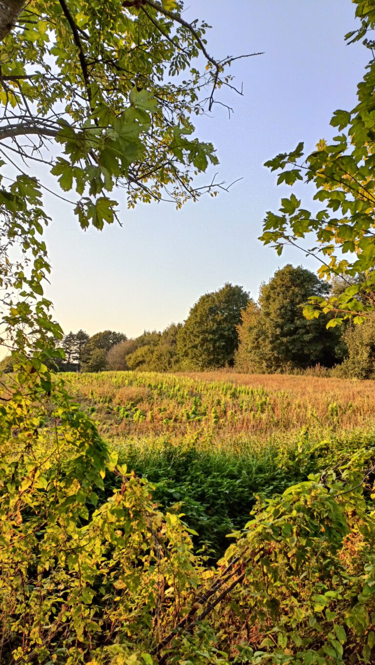 AI har erstattet… En meningsløs opgave, jeg tidligere nægtede at udføre?